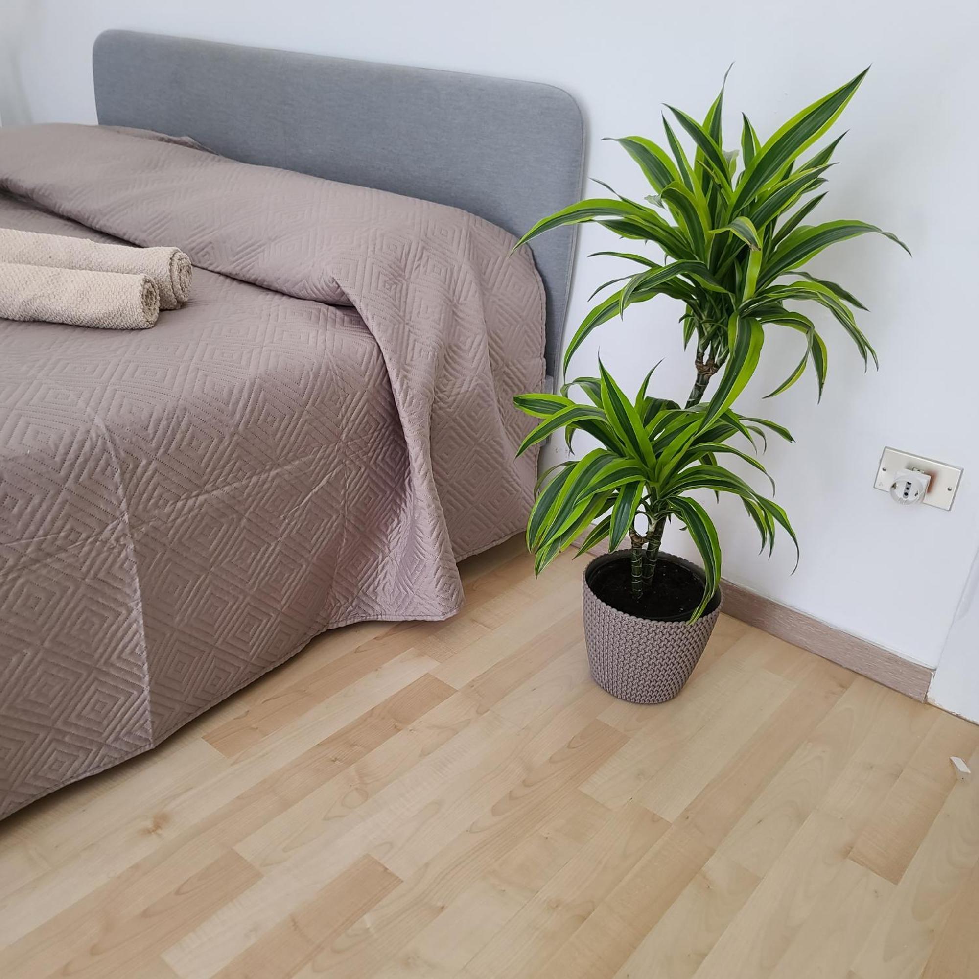 Mariamora Apartment Bari Buitenkant foto