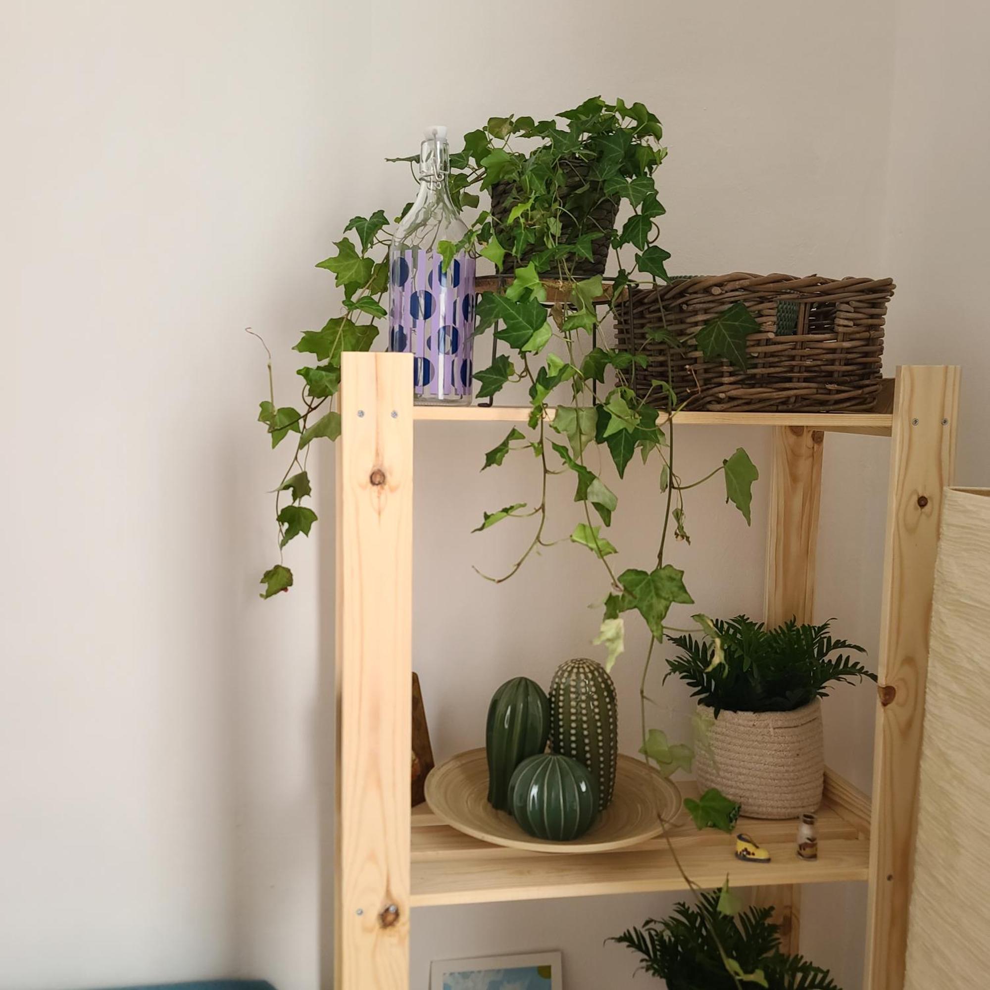 Mariamora Apartment Bari Buitenkant foto